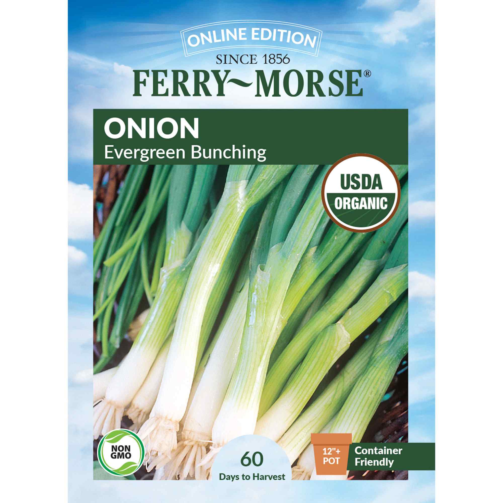 Ferry-Morse onion evergreen bunching seed packet